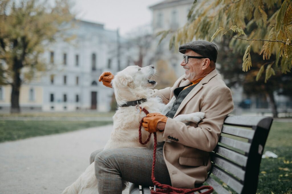 Als "Dogsitter:in" verbinden Sie die Leidenschaft für ein Haustier mit einem kleinen zusätzlichen Obulus im Portemannai. Dieses Modell ist vor allem für die Menschen der Generation 59plus interessant, die selbst die Verantwortung nicht mehr übernehmen wollen, aber auf die tolle Gesellschaft von z. B. Hunden nicht verzichten möchten. Bildquelle: © Getty Images / Unsplash.com